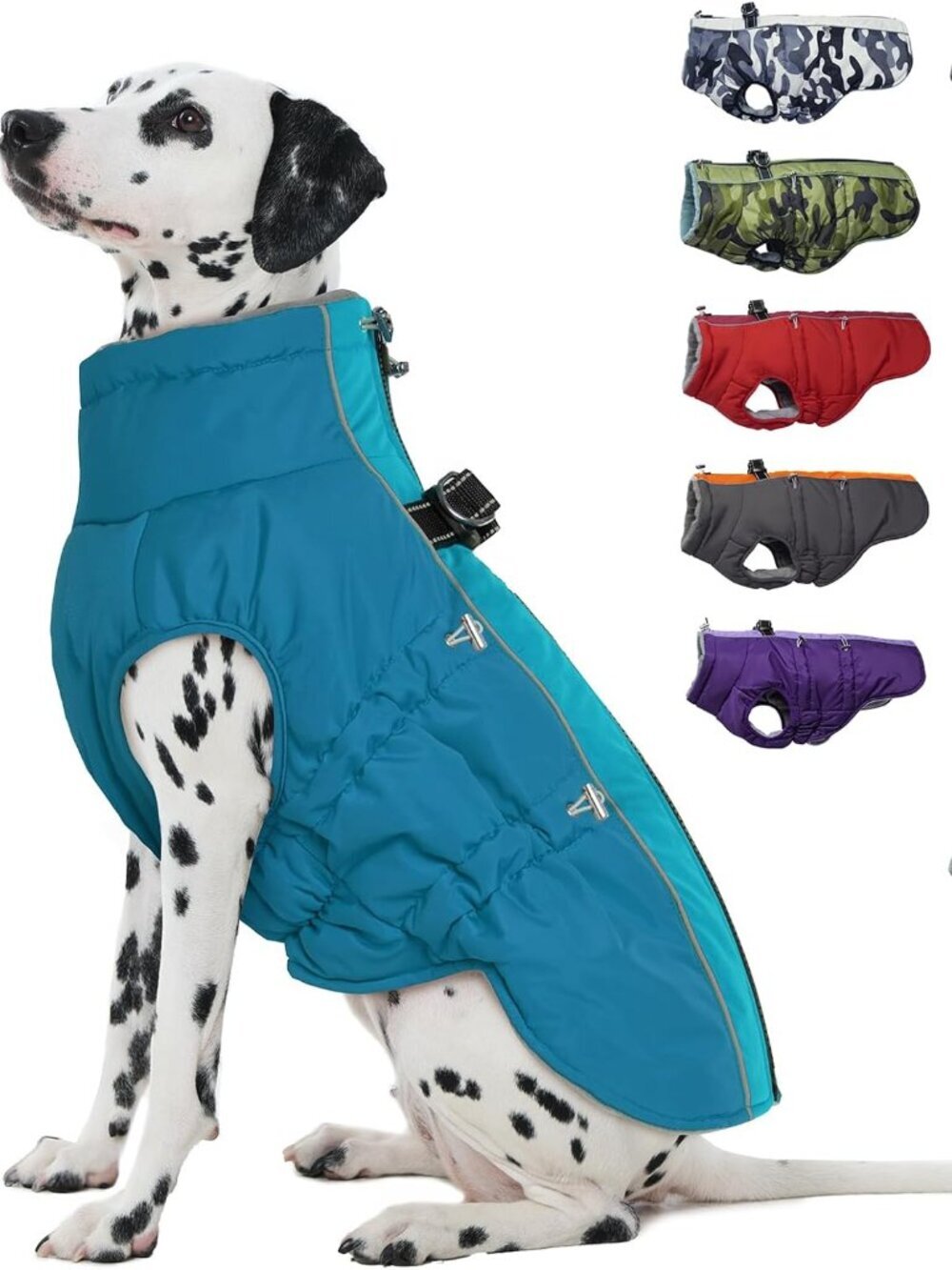 Dog Coat
